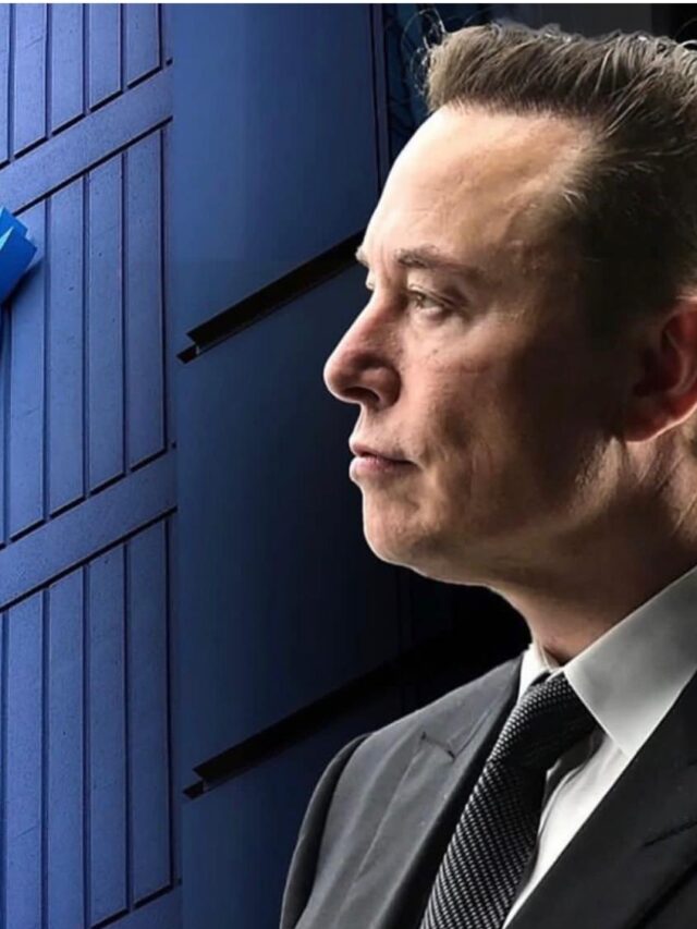 Top Companies of Elon Musk